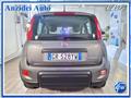 FIAT PANDA 1.0 FireFly Hybrid 70 Cv