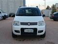 FIAT Panda 1.2 Climbing 4x4