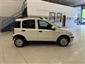 FIAT PANDA VAN 1.2 Van Active 2 posti