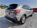 FORD KUGA 1.5 EcoBlue 120 CV 2WD Titanium Business