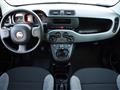 FIAT PANDA 1.0 FireFly S&S Hybrid *5 POSTI*SOLO 7832KM*