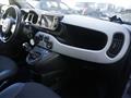 FIAT PANDA CROSS Panda Cross 1.0 FireFly S&S Hybrid