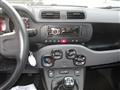 FIAT PANDA 1.2 69cv NEOPATENTATI