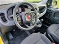 FIAT PANDA 1.0 FireFly S&S Hybrid Pandina