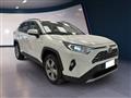 TOYOTA RAV4 V 2019 2.5 vvt-ie h Lounge 2wd 218cv e-cvt