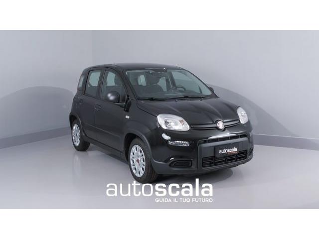 FIAT PANDA 1.0 FireFly S&S Hybrid (rottamazione euro 4)