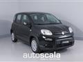 FIAT PANDA 1.0 FireFly S&S Hybrid (rottamazione euro 4)