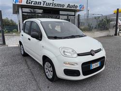 FIAT PANDA 1.2 Easy PREZZO REALE!!