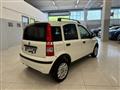 FIAT PANDA VAN 1.2 Van Active 2 posti