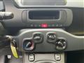 FIAT PANDA 3ª serie 1.0 FireFly S&S Hybrid