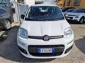 FIAT PANDA VAN Panda 1.2 POP NEOPATENTATI FR812NY