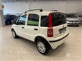 FIAT PANDA VAN 1.2 Van Active 2 posti