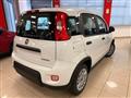 FIAT PANDA 1.0 FireFly S&S Hybrid PROMO CAR SERENITY