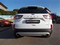 FORD KUGA 2.0 EcoBlue Hybrid 150 CV 2WD Titanium Business