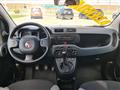 FIAT PANDA 1.0 FireFly S&S Hybrid City Life 70cv