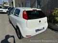 FIAT PUNTO 1.4 8V 5 porte Natural Power Lounge"FULL OPTIONAL"