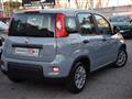 FIAT PANDA 1.0 FireFly S&S Hybrid *5 POSTI*SOLO 7832KM*