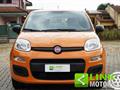 FIAT PANDA 1.2 Easy Power 69CV 2020 - 62.000KM - NEOPATENTATI