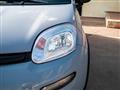 FIAT Panda 1.0 firefly hybrid City Life s&s 70cv 5p.ti