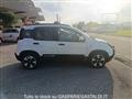 FIAT PANDA 1.0 FireFly S&S Hybrid Pandina