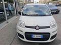 FIAT PANDA VAN 1.0 70cv S&S Hybrid Van 2 posti