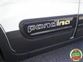 FIAT PANDA 1.0 FireFly S&S Hybrid Pandina