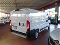 FIAT DUCATO 33Q 2.3 MJT 140CV PMedio-Basso L2H1 13q