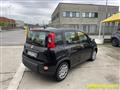 FIAT PANDA 1.0 FireFly S&S Hybrid Pandina **KM0** NEOPATENTAT