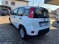 FIAT PANDA 1.0 FireFly S&S Hybrid Pandina