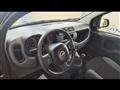 FIAT PANDA 1.0 firefly hybrid 70cv 5 posti