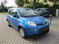 FIAT PANDA 1.0 FireFly S&S Hybrid Pandina