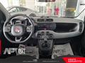 FIAT PANDA 1.0 firefly hybrid City Life s&s 70cv