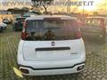 FIAT PANDA CROSS 1.0 FireFly S&S Hybrid NO VICOLI 5 POSTI CARPLAY