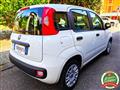 FIAT PANDA 1.2 EasyPower Easy UNICO PROPRIETARIO