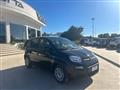 FIAT Panda 1.0 firefly hybrid s&s 70cv 5p.ti