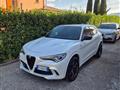 ALFA ROMEO Stelvio 2.9 BiT.V6 510 AT8 Quadrifoglio