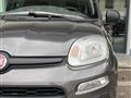 FIAT PANDA 1.2 Easy NEO PATENTATI!