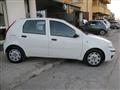 FIAT PUNTO 1.2 5 porte Active GPL