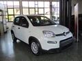 FIAT PANDA 1.0 FireFly S&S Hybrid - BLUETOOTH