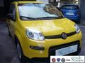 FIAT PANDA 1.0 FireFly S&S Hybrid Pandina Urban Radio Km 0