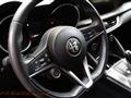 ALFA ROMEO STELVIO 2.2 Turbodiesel 210 CV AT8 Q4 Business