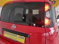 FIAT PANDA 1.2  Cross City Cross NEOPATENTATI