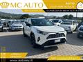 TOYOTA RAV4 2.5 HV (218CV) E-CVT 2WD Dynamic