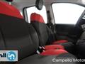 FIAT PANDA 1.2 69cv S&S Pop E6D-temp