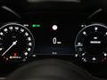 ALFA ROMEO STELVIO 2.2 Turbodiesel 210 CV AT8 Q4 Ti