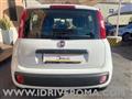 FIAT PANDA 1.2 sensori park+ volante multifunzione +GPL