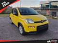 FIAT PANDA 1.0 FireFly S&S Hybrid Pandina