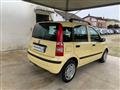 FIAT PANDA 1.2 Dualogic AUTOMATICA NEOPATENTATI