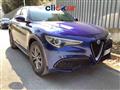 ALFA ROMEO STELVIO 2.2 Turbodiesel 190 CV AT8 Q4 Business