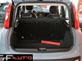 FIAT Panda 1.2   ** NO VINCOLO FINANZIAMENTO **